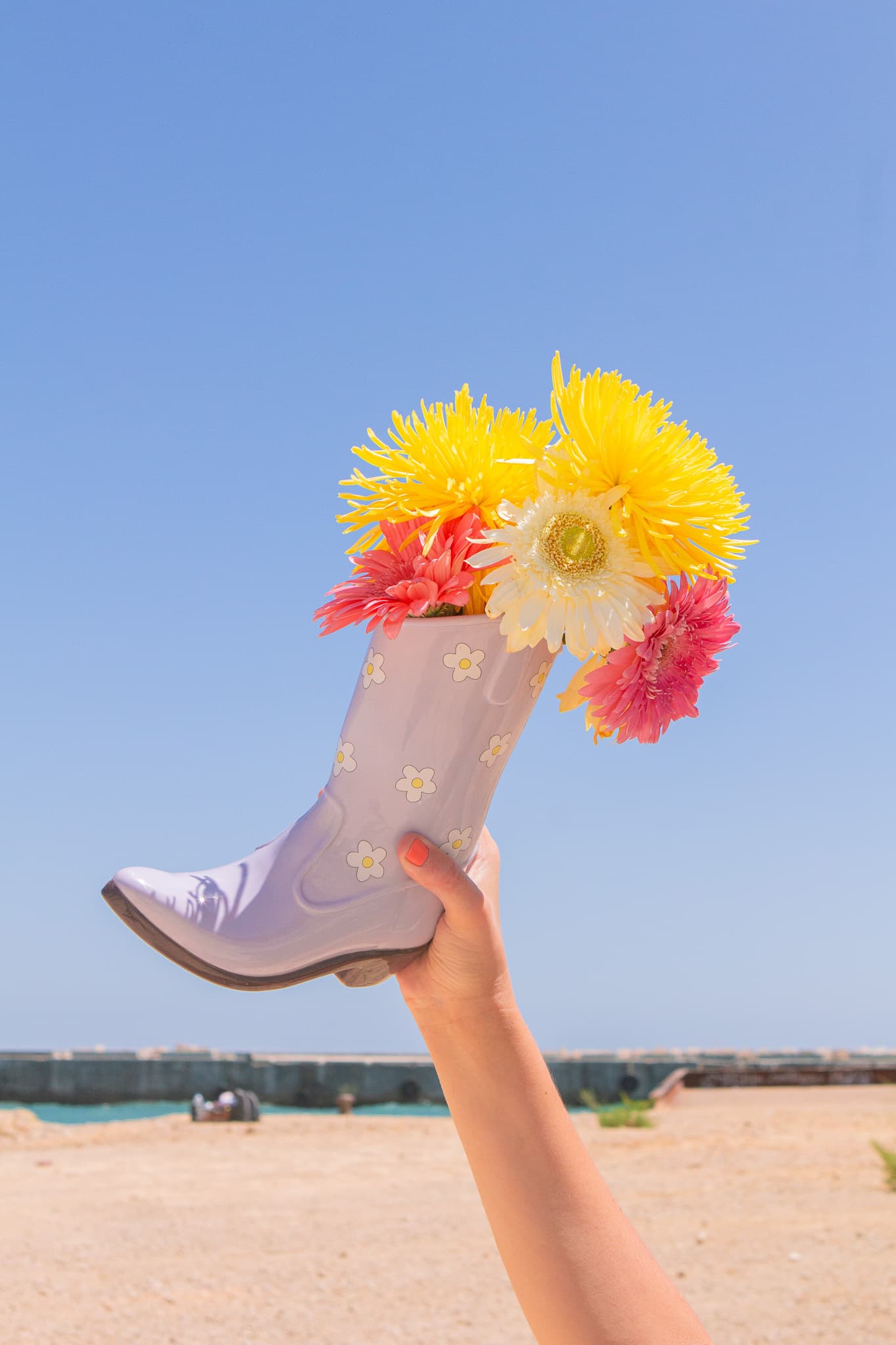 DOIY product shot RODEO